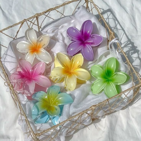 Colorful Hair Claw (Pair of 2 )