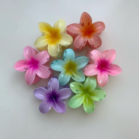 Colorful Hair Claw (Pair of 2 ) - Image 3