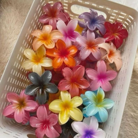 Colorful Hair Claw (Pair of 2 ) - Image 2